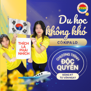 KIPA Việt Hàn- Tư vấn du học Hàn Quốc và xuất khẩu lao động